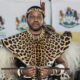 King Misuzulu kaZwelithini speech, Isandlwana commemoration, KwaZulu Natal province debate, Zulu kingdom history, South African provincial names, Joburg ETC