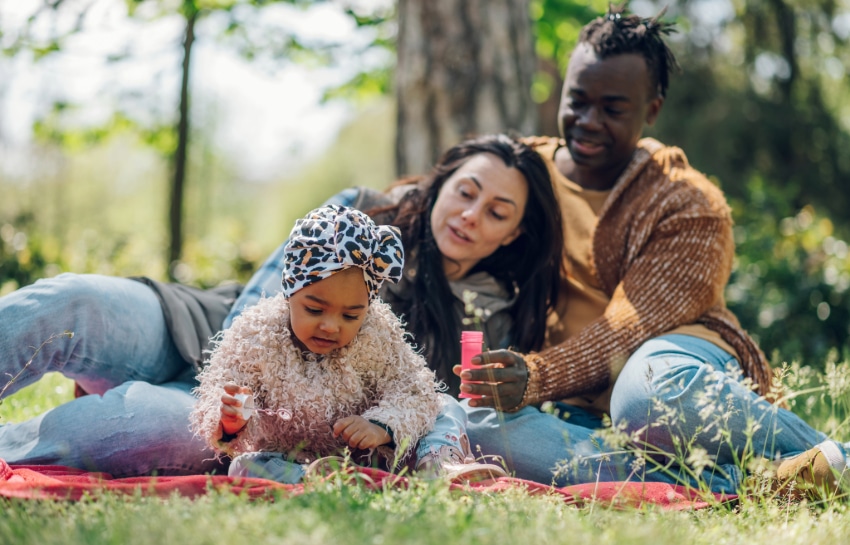 The Wilds Nature Reserve Johannesburg, Klipriviersberg Nature Reserve hiking, Johannesburg Botanical Garden Emmarentia, Rosebank Sunday Market stalls, Hector Pieterson Memorial Soweto, Victoria Yards art precinct, Northcliff Ridge city views, Joburg ETC