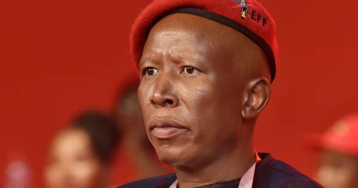 Julius Malema court appearance, East London Regional Court, EFF supporters outside court, firearm discharge case South Africa, political sentencing debate, Joburg ETC