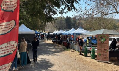 Rosebank Sunday Market Johannesburg, Bryanston Organic Market, Victoria Yards market, Market on Main Johannesburg, Fourways Farmers Market, Linden Market Emmarentia, Panorama Flea Market, Halaal Goods Market, Joburg ETC