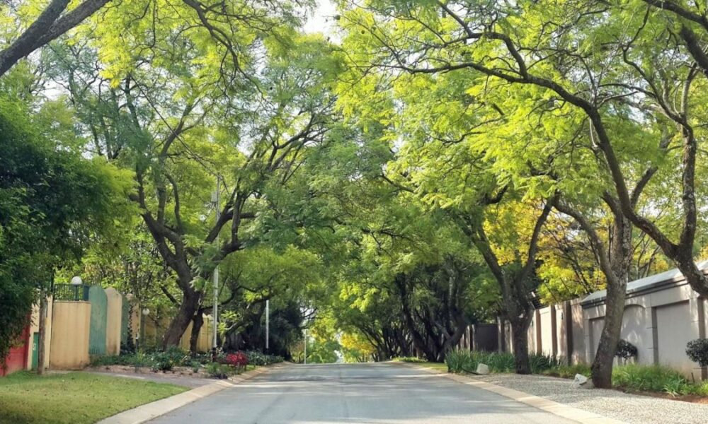 Sandton apartments Johannesburg, Rosebank Gautrain living, Melville nightlife suburb, Parkhurst Fourth Avenue cafes, Midrand modern apartments, Ferndale Randburg property, Joburg ETC