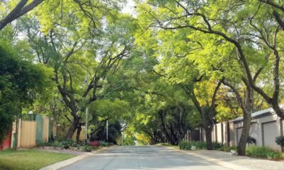 Sandton apartments Johannesburg, Rosebank Gautrain living, Melville nightlife suburb, Parkhurst Fourth Avenue cafes, Midrand modern apartments, Ferndale Randburg property, Joburg ETC