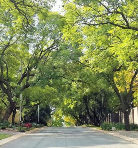 Sandton apartments Johannesburg, Rosebank Gautrain living, Melville nightlife suburb, Parkhurst Fourth Avenue cafes, Midrand modern apartments, Ferndale Randburg property, Joburg ETC