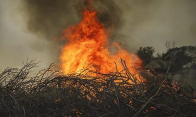 veld fires South Africa, farm fire damage, rural arson, grazing land fires, agricultural sabotage, Joburg ETC, South African wildfires, farmland fire aftermath, rural crime fires, food security threats, veld fire investigation, Joburg ETC