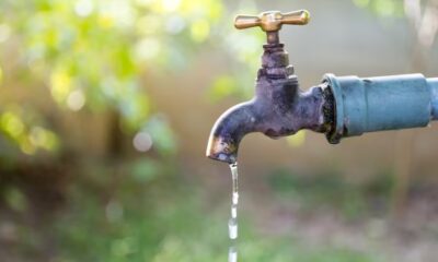 Plettenberg Bay water restrictions, Roodefontein Dam low levels, Bitou Municipality water crisis, Western Cape drought conditions, Plettenberg Bay dam status, Joburg ETC