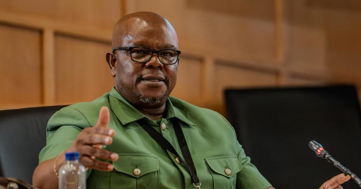 Madlanga Commission hearing, Hawks boss Lesetja Senona, Cat Matlala tender controversy, SAPS healthcare contract, Hawks leadership testimony, Joburg ETC