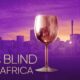 Love is Blind South Africa hosts, South African celebrity couples, Netflix reality dating show, Kabelo Mabalane Gail Mabalane, Bontle Modiselle Priddy Ugly, Joburg ETC