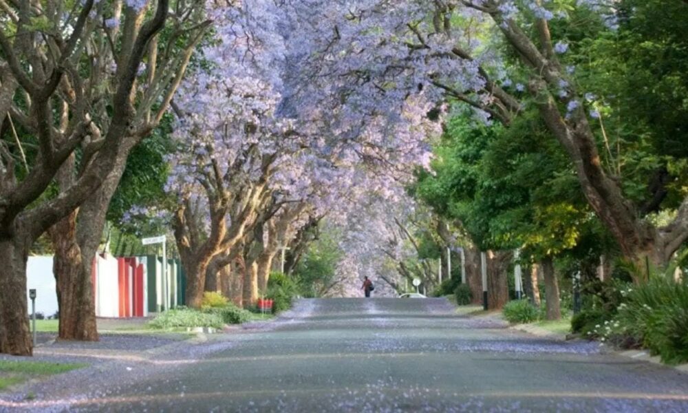 Safe suburbs Johannesburg 2026, Sandton security estates, Dainfern gated estate, Bryanston East boomed area, Parkhurst community safety, Hyde Park Johannesburg security, Joburg ETC