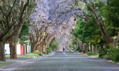 Safe suburbs Johannesburg 2026, Sandton security estates, Dainfern gated estate, Bryanston East boomed area, Parkhurst community safety, Hyde Park Johannesburg security, Joburg ETC