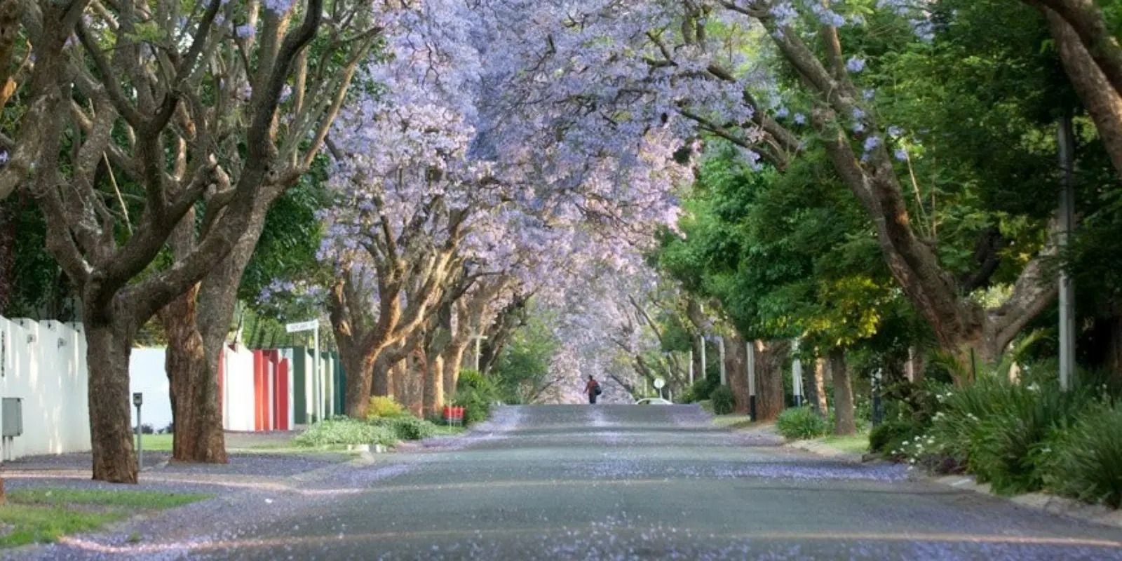 Safe suburbs Johannesburg 2026, Sandton security estates, Dainfern gated estate, Bryanston East boomed area, Parkhurst community safety, Hyde Park Johannesburg security, Joburg ETC