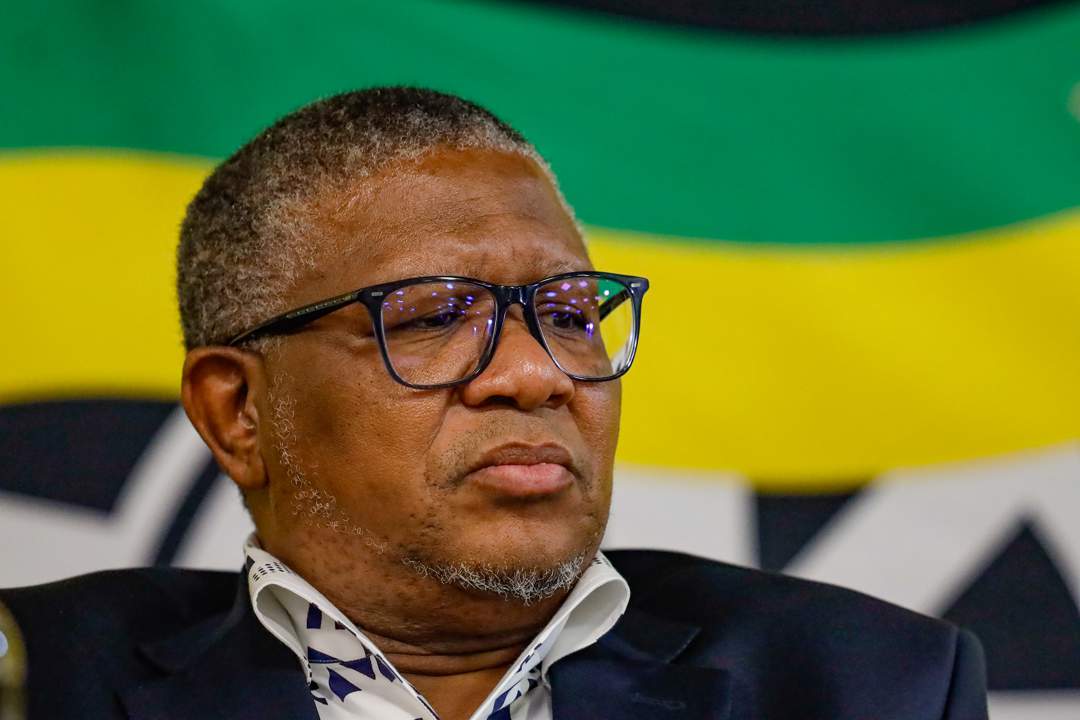 Fikile Mbalula speaking at Polokwane event, ANC rally on economic transformation, crowd listening to political speech, South African flag backdrop, Joburg ETC