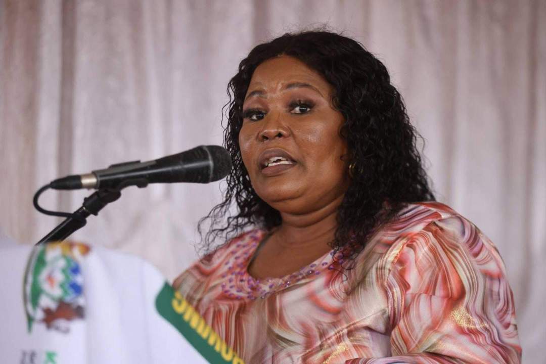 Mbali Shinga disciplinary hearing, National Freedom Party KZN, KwaZulu Natal legislature politics, NFP internal conflict, Government of Provincial Unity KZN, Joburg ETC