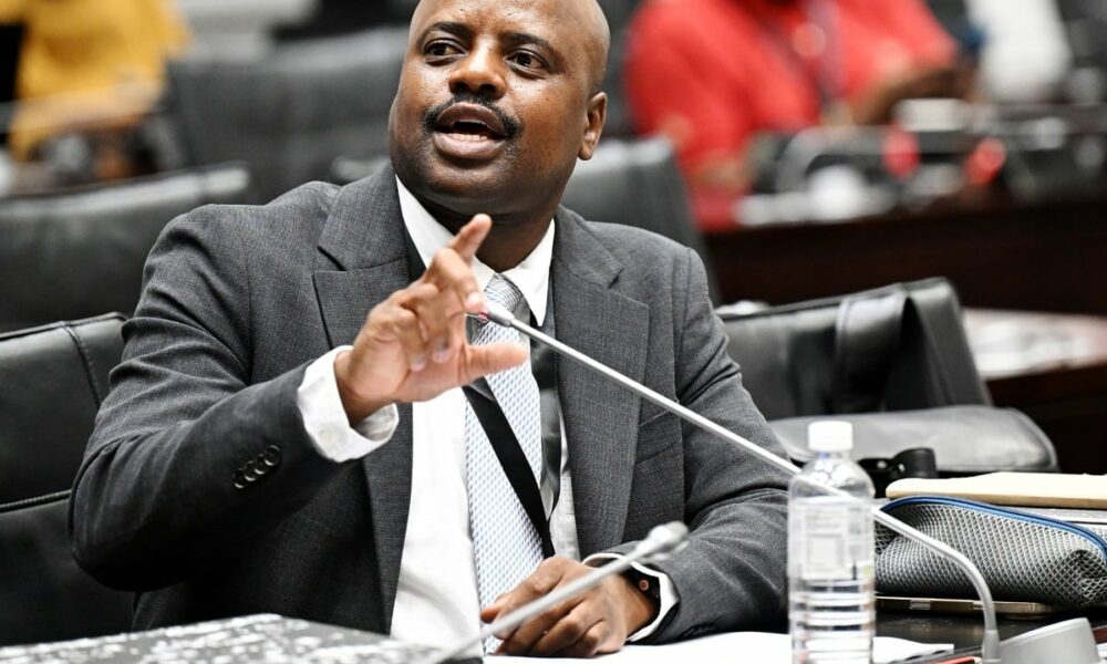 Julius Mkhwanazi EMPD hearing, Ekurhuleni Metro Police leadership crisis, IPID investigation EMPD, Booysens Magistrates Court shooting, parliamentary police oversight, Joburg ETC