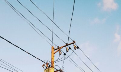 Mayweather McGregor - Irish Nachos