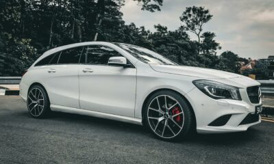 Mushroom foraging Cape Town