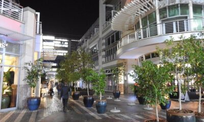 Hidden gems in Rosebank, Rosebank rooftop restaurant, Momo Kuro rooftop, Popo Tea House Rosebank, Father Coffee Rosebank, Rosebank local cafés, Rosebank boutique shopping, Joburg ETC