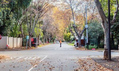 Johannesburg family suburbs, Parkview Johannesburg, Bryanston homes, Fourways estates, Linden neighbourhood, Bedfordview family living, Joburg ETC