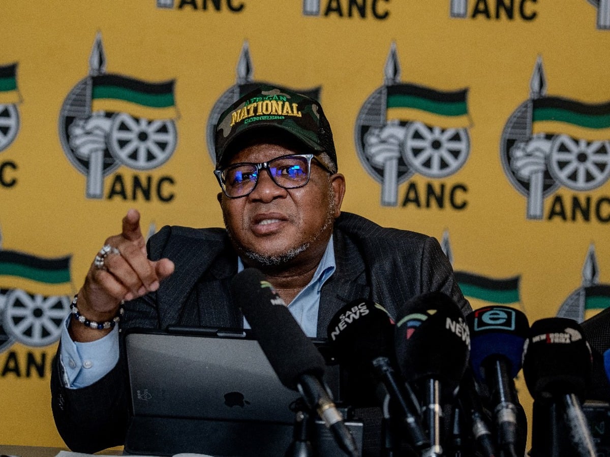 Fikile Mbalula youth employment, ANC rally Limpopo, South Africa youth unemployment, corporate hiring South Africa, Joburg ETC