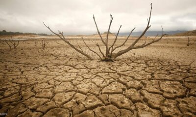 South Africa water crisis, national disaster drought South Africa, dry dams Western Cape, Eastern Cape drought conditions, water shortages Northern Cape, municipal water restrictions, day zero water South Africa, Joburg ETC