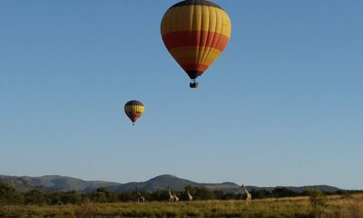 Pilanesberg National Park safari, Big Five near Johannesburg, Lion & Safari Park white lions, Walter Sisulu waterfall Roodepoort, Soweto Vilakazi Street, Apartheid Museum Johannesburg, Cradle of Humankind UNESCO site, Sterkfontein Caves fossils, Hartbeespoort Dam cableway views, Pretoria Union Buildings, Cullinan Diamond Mine tour, Magaliesberg mountains hiking, Gold Reef City theme park, Constitution Hill Braamfontein, The Wilds Houghton skyline, Johannesburg day trips 2026, Gauteng safari experience, Joburg ETC