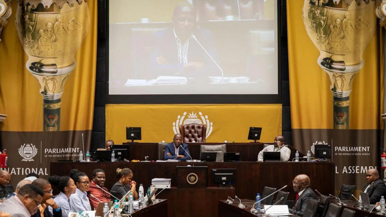 Mkhwanazi inquiry Parliament, State Security Agency hearing, former SSA officer testimony, parliamentary oversight South Africa, intelligence committee debate, KwaZulu-Natal police inquiry, Joburg ETC