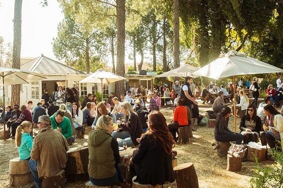 Rosebank Sunday Market rooftop, best markets in Johannesburg 2026, Johannesburg food markets, Johannesburg craft markets, Bryanston Organic and Natural Market stalls, The Playground Braamfontein market, Fourways Farmers Market picnic lawns, The Linden Market Emmarentia, Victoria Yards First Sunday market, Rosebank Art and Craft Market African crafts, Prison Break Market Glenferness, LoCrate Market Soweto creatives, Halaal Goods Market Johannesburg, Joburg ETC