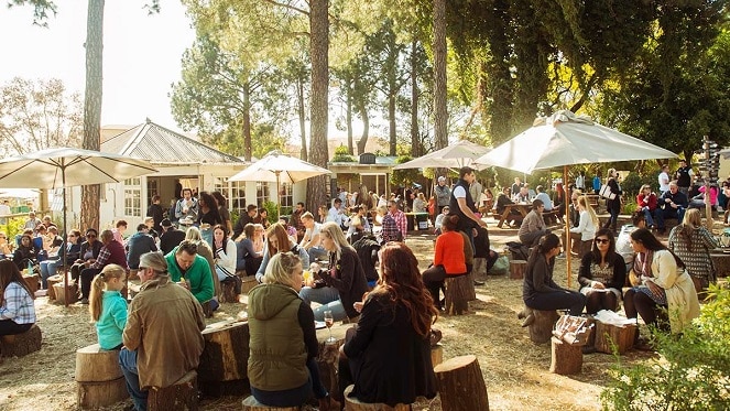 Rosebank Sunday Market rooftop, best markets in Johannesburg 2026, Johannesburg food markets, Johannesburg craft markets, Bryanston Organic and Natural Market stalls, The Playground Braamfontein market, Fourways Farmers Market picnic lawns, The Linden Market Emmarentia, Victoria Yards First Sunday market, Rosebank Art and Craft Market African crafts, Prison Break Market Glenferness, LoCrate Market Soweto creatives, Halaal Goods Market Johannesburg, Joburg ETC