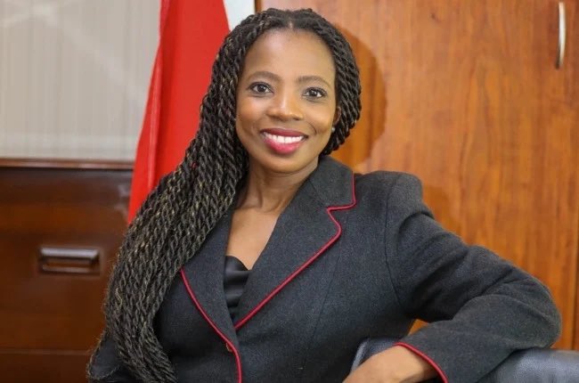 Kholeka Gcaleka Public Protector South Africa, Xolile George Parliament Secretary salary, Public Protector recusal 2026, Democratic Alliance complaint Parliament salary, Thoko Didiza Speaker National Assembly, Parliament salary increase South Africa, Chapter 9 institutions South Africa, Joburg ETC