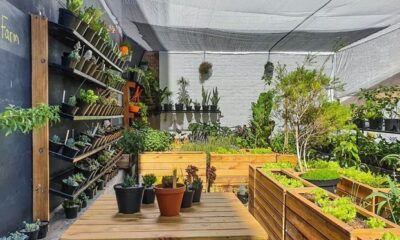 JFF Rooftop Farm Braamfontein, rooftop garden, Living Room Jozi Maboneng rooftop, Victoria Yards Lorentzville urban gardens, Artistry Sandton rooftop bar greenery, Alto234 Sandton skyline view, Johannesburg rooftop garden views, inner city green spaces Joburg, sustainable urban rooftops Johannesburg, Joburg ETC