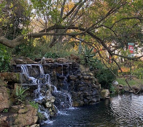 Melville Koppies hiking trails, The Wilds Nature Reserve Houghton, Northcliff Ridge sunset views, Kloofendal Nature Reserve Roodepoort, Modderfontein Reserve walking trails, NIROX Sculpture Park Cradle of Humankind, Victoria Yards green spaces, Beaulieu Bird Sanctuary Kyalami, Golden Harvest Park Randburg, James and Ethel Gray Park Melrose, Rietfontein Nature Reserve Paulshof, Joburg ETC