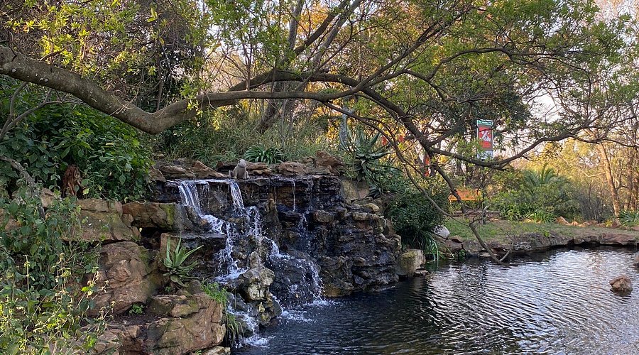 Melville Koppies hiking trails, The Wilds Nature Reserve Houghton, Northcliff Ridge sunset views, Kloofendal Nature Reserve Roodepoort, Modderfontein Reserve walking trails, NIROX Sculpture Park Cradle of Humankind, Victoria Yards green spaces, Beaulieu Bird Sanctuary Kyalami, Golden Harvest Park Randburg, James and Ethel Gray Park Melrose, Rietfontein Nature Reserve Paulshof, Joburg ETC