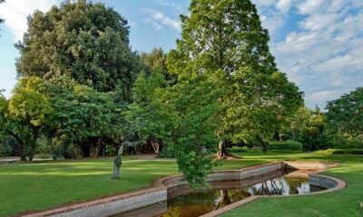 The Wilds Nature Reserve Johannesburg, Houghton skyline views, Vilakazi Street Soweto history, Hector Pieterson Memorial exterior, Rosebank art galleries Johannesburg, CIRCA Gallery Rosebank, Everard Read exhibition space, Johannesburg Botanical Garden Emmarentia Dam, James Hall Museum vintage cars, Victoria Yards Lorentzville studios, African Craft Market Rosebank stalls, Kloofendal Nature Reserve trails, Northcliff Ridge sunset view, free things to do in Johannesburg 2026, Joburg ETC