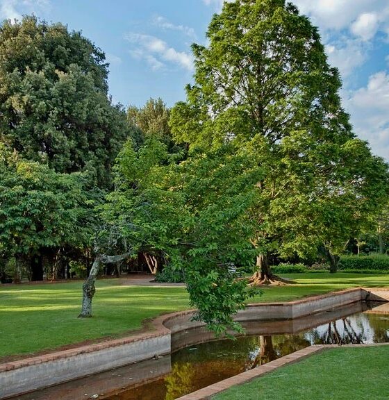 The Wilds Nature Reserve Johannesburg, Houghton skyline views, Vilakazi Street Soweto history, Hector Pieterson Memorial exterior, Rosebank art galleries Johannesburg, CIRCA Gallery Rosebank, Everard Read exhibition space, Johannesburg Botanical Garden Emmarentia Dam, James Hall Museum vintage cars, Victoria Yards Lorentzville studios, African Craft Market Rosebank stalls, Kloofendal Nature Reserve trails, Northcliff Ridge sunset view, free things to do in Johannesburg 2026, Joburg ETC