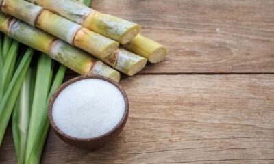 South African sugarcane fields, SA Canegrowers press statement, imported sugar shipments South Africa, sugar industry rural jobs, Sugar Master Plan South Africa, Cyril Ramaphosa SONA speech, sugar imports Brazil India Thailand, KwaZulu Natal cane farming, Joburg ETC