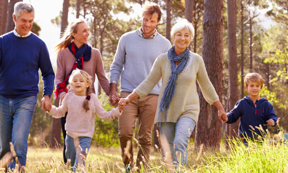 family-friendly day trips Johannesburg, donkey dairy Magaliesburg farm animals, kids feeding goats alpacas South Africa, Croc City crocodile park zipline Chartwell, Big Red Barn Irene outdoor adventure park, NIROX Sculpture Park Cradle of Humankind sculptures, Marievale Bird Sanctuary wetlands birdwatching Gauteng, Museum of Illusions Rosebank family activity, Lindfield Victorian House Museum Johannesburg interior, James Hall Museum of Transport vintage vehicles, Victoria Yards Lorentzville artisan studios street art, Total Ninja Johannesburg inflatable obstacle course, tree top adventures riversands zipline course, Bothongo Wonder Cave Cradle of Humankind stalactites cavern, Irene Farm dairy cows petting farm Gauteng, berry picking Walkerville Field Berry Farm, Macfresh Berry Farm Benoni strawberries blueberries, Joburg ETC