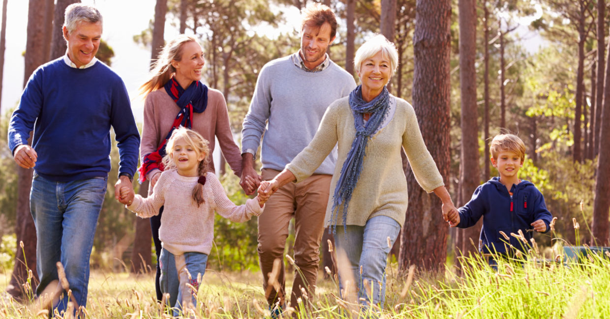 family-friendly day trips Johannesburg, donkey dairy Magaliesburg farm animals, kids feeding goats alpacas South Africa, Croc City crocodile park zipline Chartwell, Big Red Barn Irene outdoor adventure park, NIROX Sculpture Park Cradle of Humankind sculptures, Marievale Bird Sanctuary wetlands birdwatching Gauteng, Museum of Illusions Rosebank family activity, Lindfield Victorian House Museum Johannesburg interior, James Hall Museum of Transport vintage vehicles, Victoria Yards Lorentzville artisan studios street art, Total Ninja Johannesburg inflatable obstacle course, tree top adventures riversands zipline course, Bothongo Wonder Cave Cradle of Humankind stalactites cavern, Irene Farm dairy cows petting farm Gauteng, berry picking Walkerville Field Berry Farm, Macfresh Berry Farm Benoni strawberries blueberries, Joburg ETC