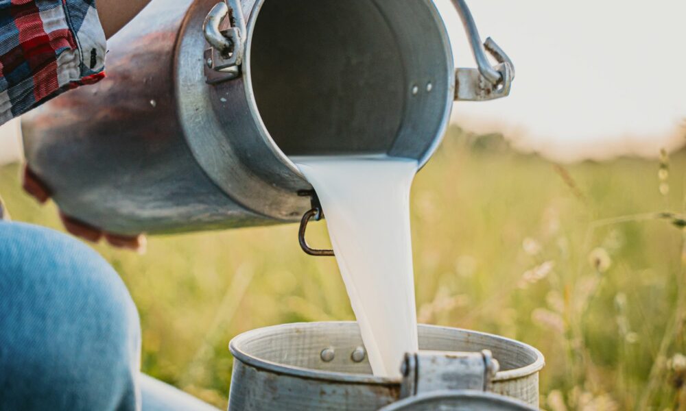 Libstar food brands South Africa, Lancewood dairy products, raw milk industrial supply SA, food manufacturing factory South Africa, Cape Herb and Spice packaging, South African grocery shelves products, dairy processing plant South Africa, Libstar ambient products range, perishable food production SA, FMCG warehouse South Africa, Joburg ETC