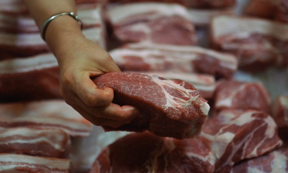 South Africa food inflation 2026, grocery prices South Africa, meat prices South Africa, foot and mouth disease cattle South Africa, African swine fever pigs South Africa, South Africa grain harvest 2025, food inflation outlook South Africa, South African agriculture harvest season, supermarket food prices South Africa, Joburg ETC