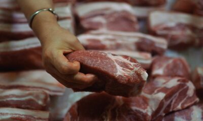 South Africa food inflation 2026, grocery prices South Africa, meat prices South Africa, foot and mouth disease cattle South Africa, African swine fever pigs South Africa, South Africa grain harvest 2025, food inflation outlook South Africa, South African agriculture harvest season, supermarket food prices South Africa, Joburg ETC