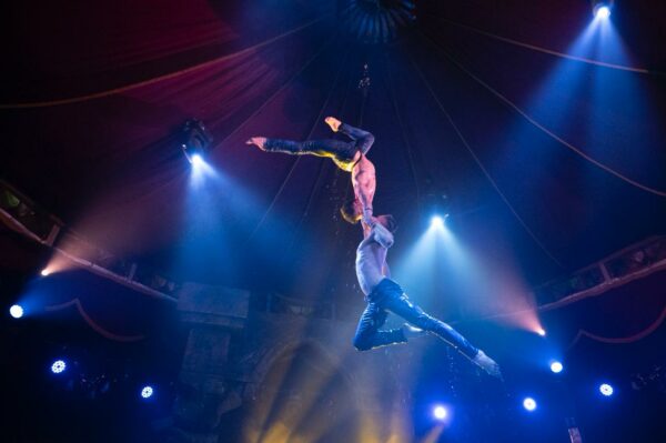 madame zingara 