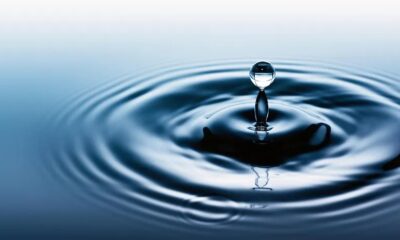 National Water Week South Africa, Upper uThukela catchment Drakensberg, KwaZulu-Natal water source, Gauteng Vaal River system, water conservation South Africa, invasive alien plants removal, WILDTRUST project South Africa, water security communities SA, Drakensberg grasslands conservation, nature based solutions water, South Africa water crisis awareness, Joburg ETC