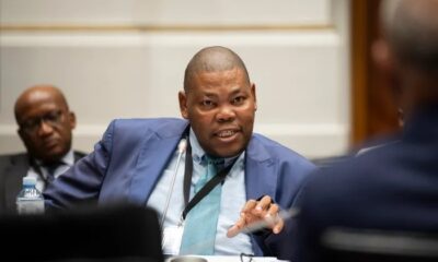 Paul O’Sullivan investigation South Africa, IPID probe controversy, Michael Mashuga testimony Parliament, Khomotso Phahlane investigation hearing, IPID Ad Hoc Committee inquiry, South African police watchdog case, political investigation South Africa, parliamentary oversight police watchdog, Joburg ETC