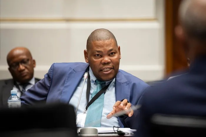 Paul O’Sullivan investigation South Africa, IPID probe controversy, Michael Mashuga testimony Parliament, Khomotso Phahlane investigation hearing, IPID Ad Hoc Committee inquiry, South African police watchdog case, political investigation South Africa, parliamentary oversight police watchdog, Joburg ETC