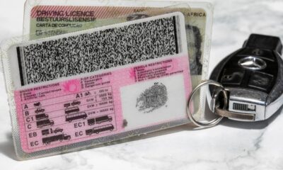 driving licences