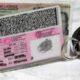 driving licences