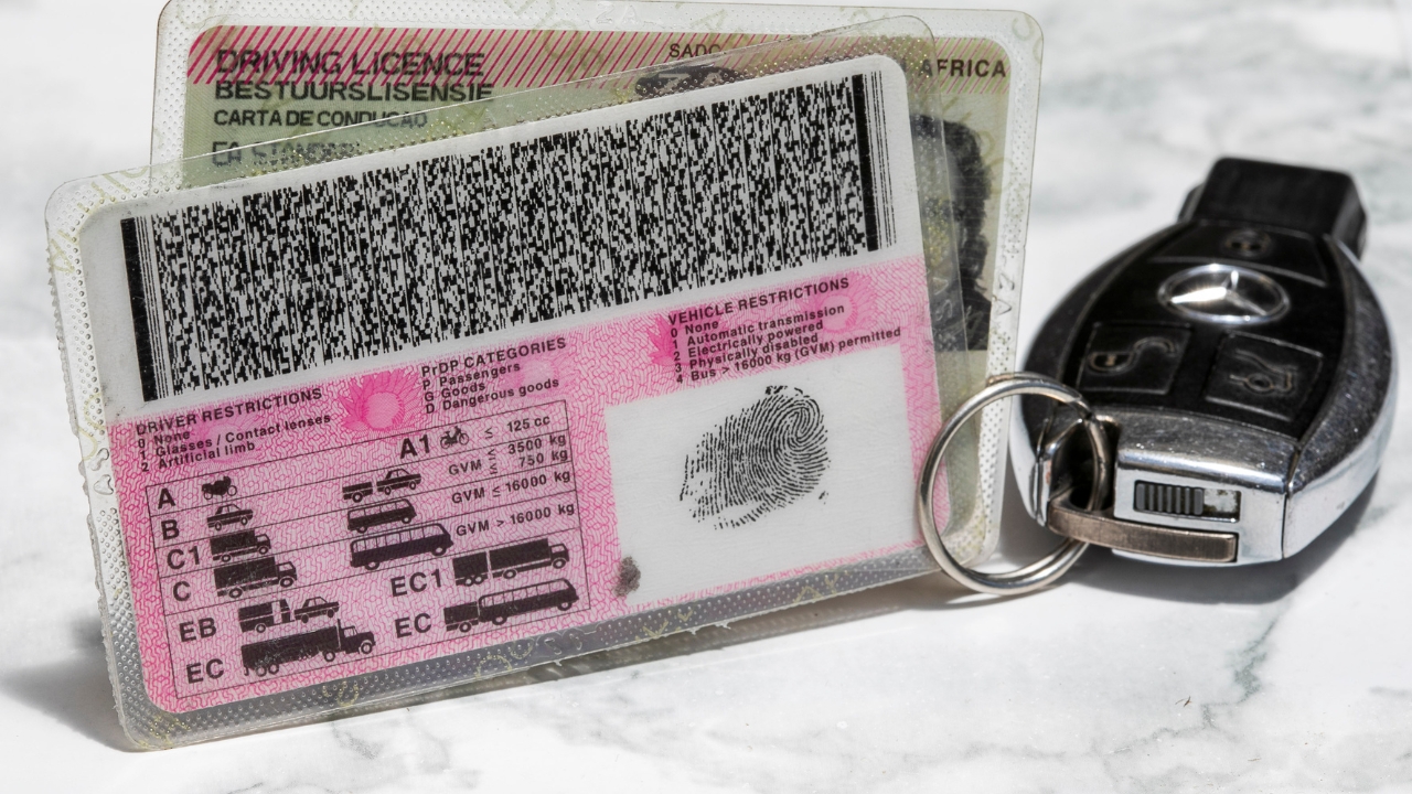 driving licences