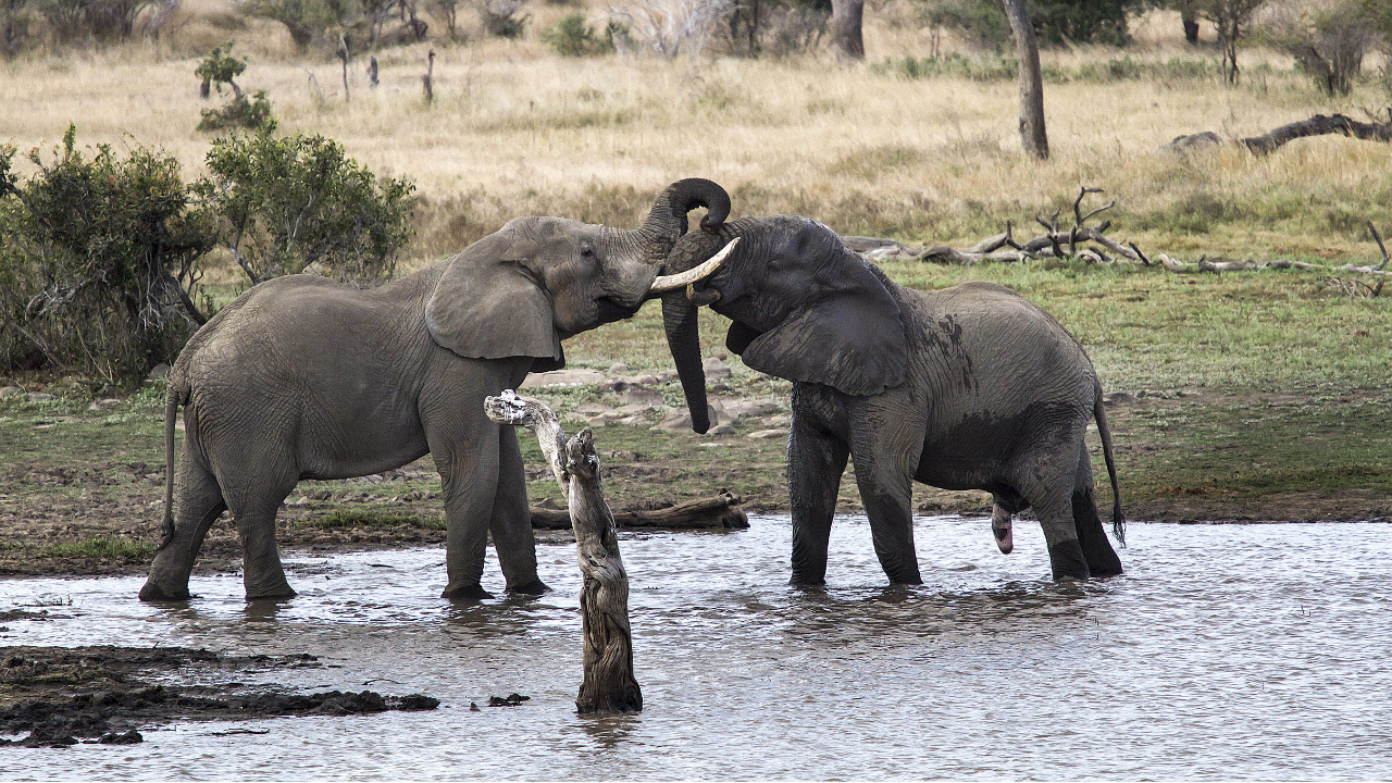 Kruger National Park