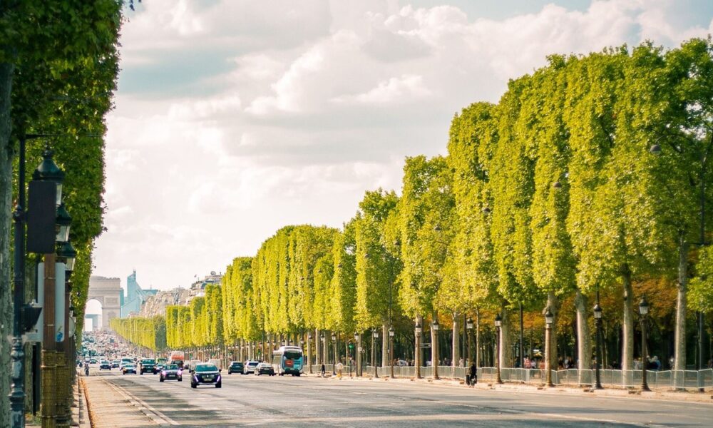 France heatwave deaths surge as June temperatures trigger over 2 000 excess deaths