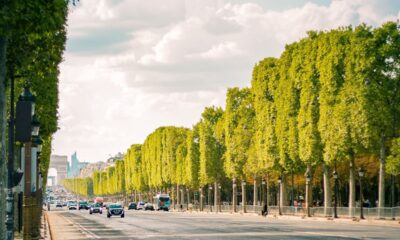 France heatwave deaths surge as June temperatures trigger over 2 000 excess deaths