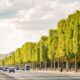 France heatwave deaths surge as June temperatures trigger over 2 000 excess deaths